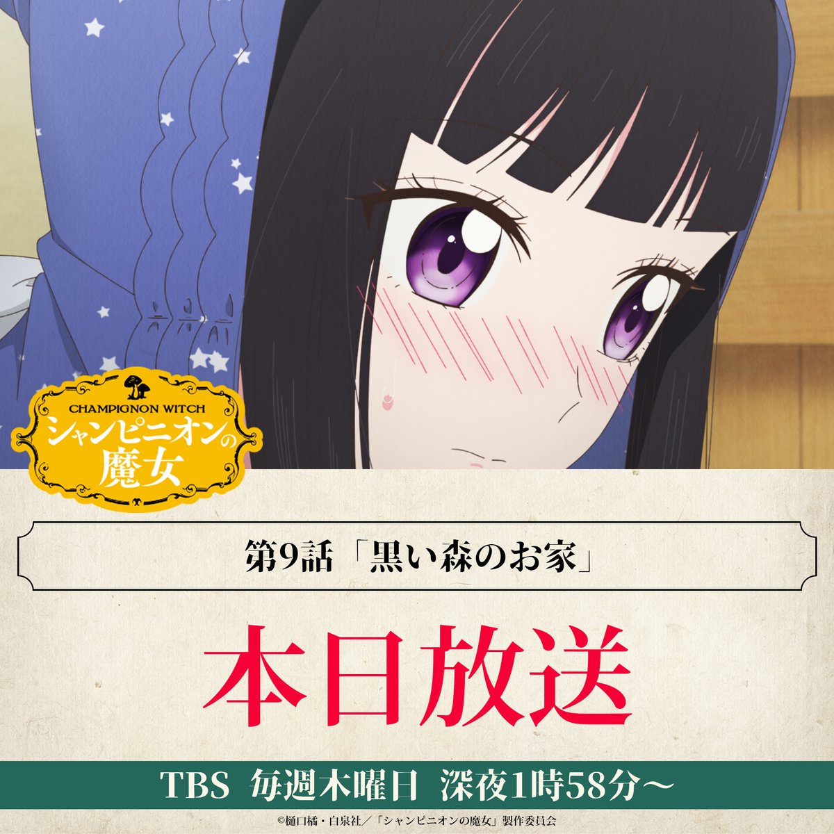 ⊹⁺‧ 第9話本日放送開始 ‧⁺ ⊹˚. 🍄第9話「黒い森のお家」 あらすじ