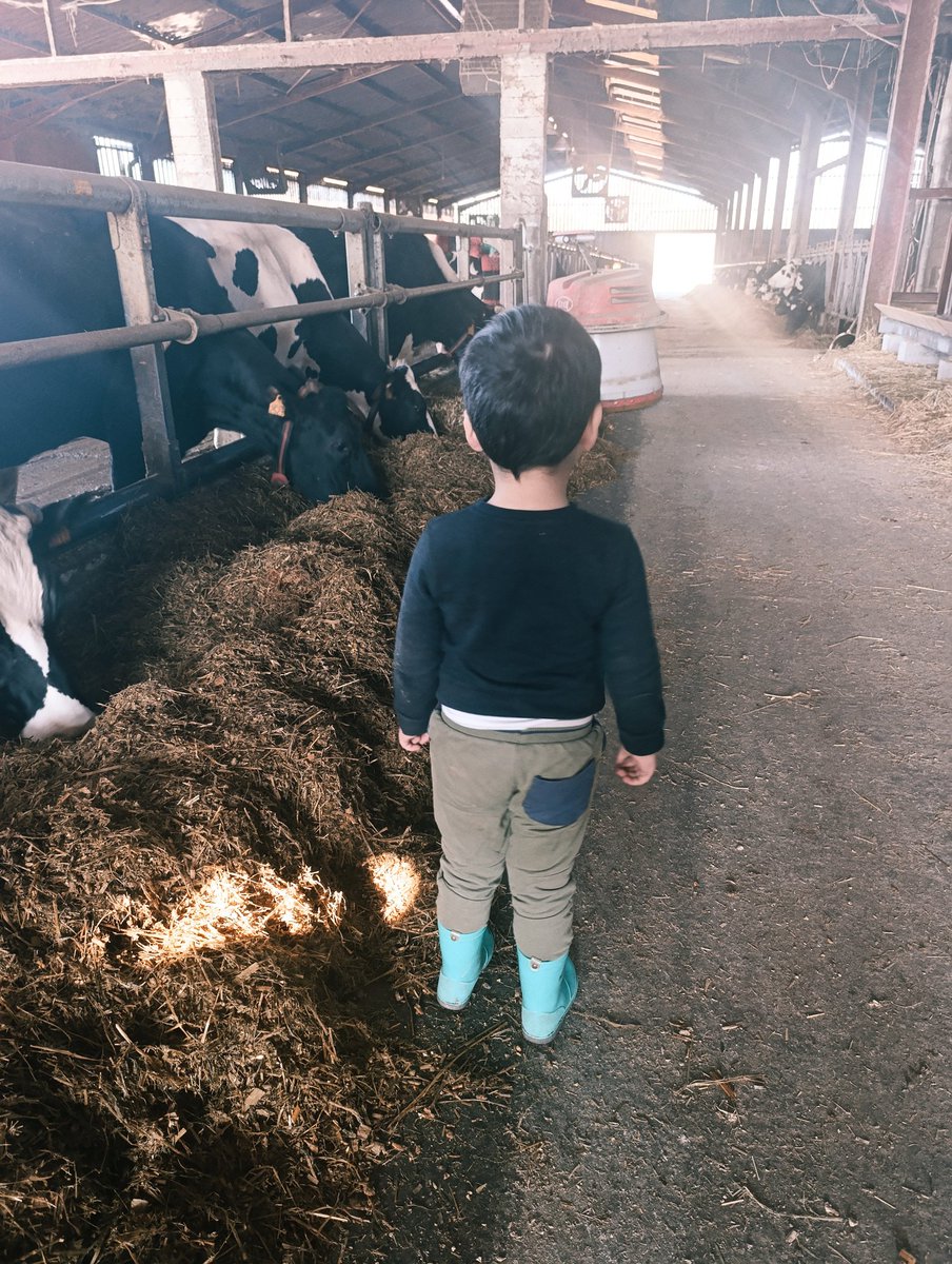 C. Sablayrolles tweet media