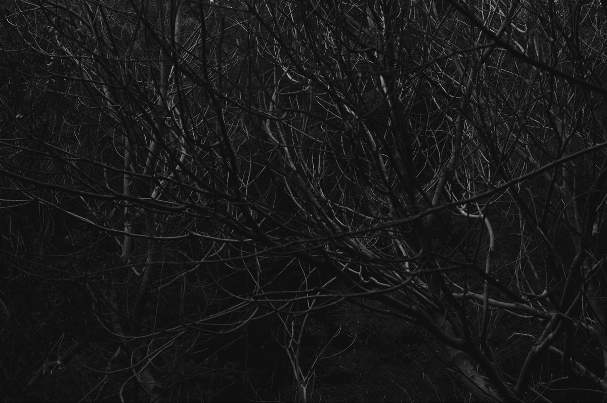 @tomohiro 038 tweet media