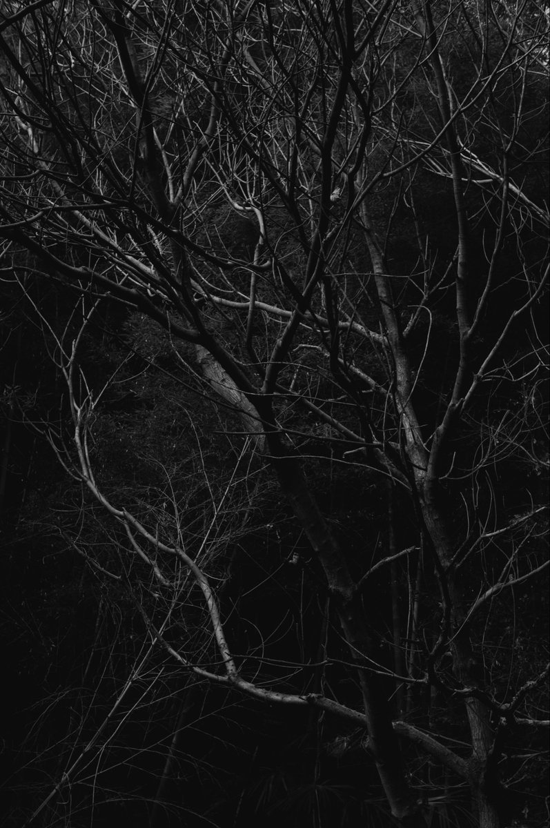 @tomohiro 038 tweet media