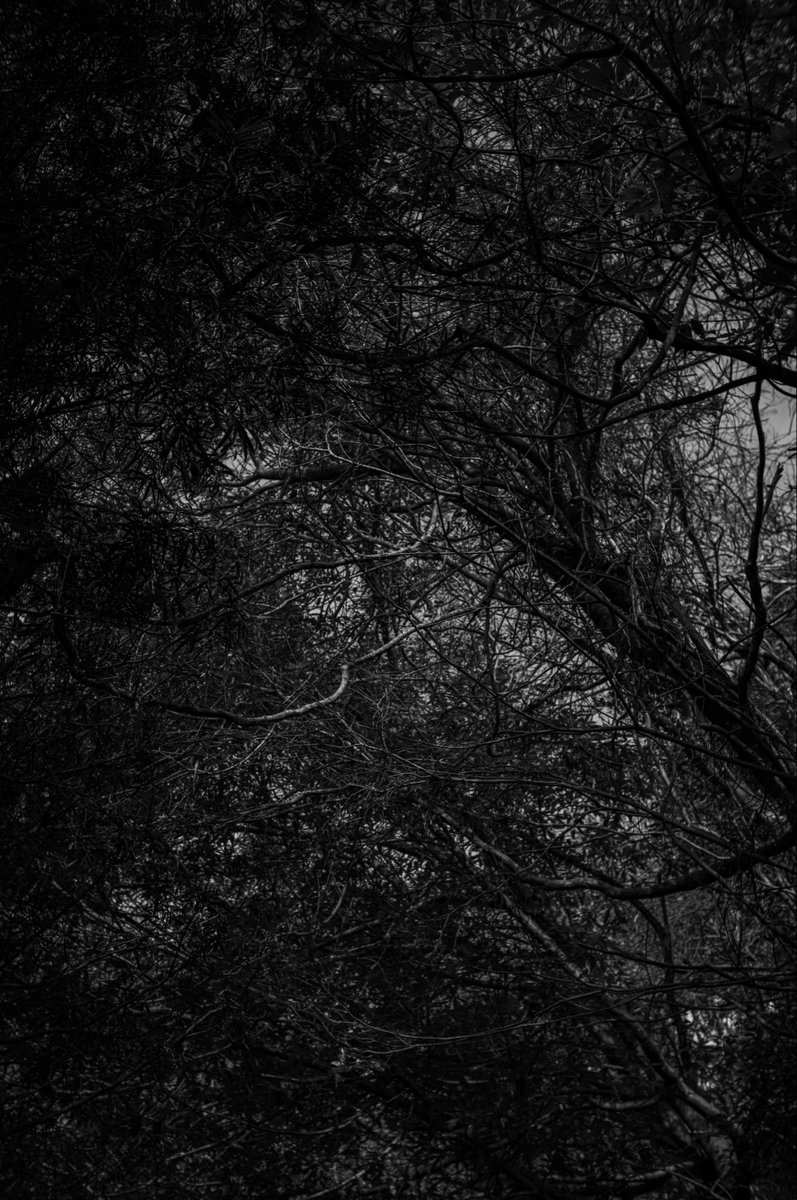 @tomohiro 038 tweet media