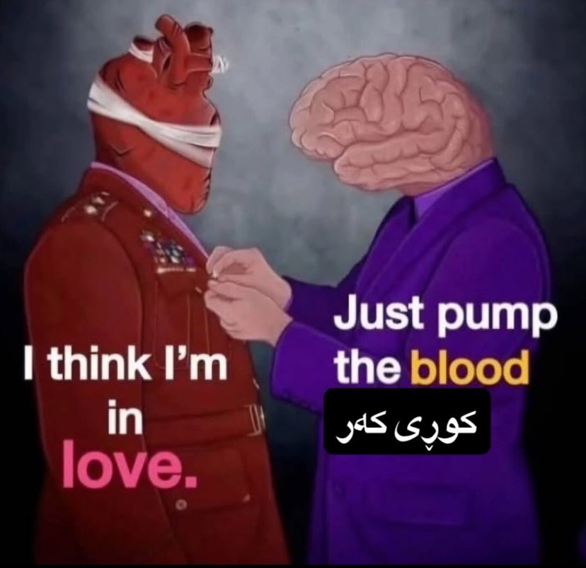 بارزان tweet media