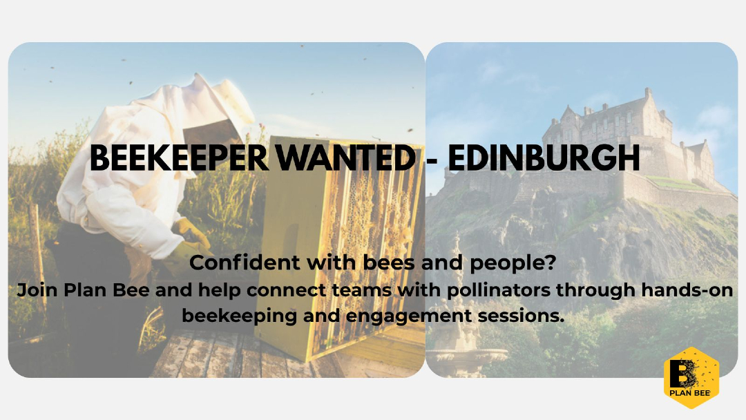 Plan Bee Ltd tweet media