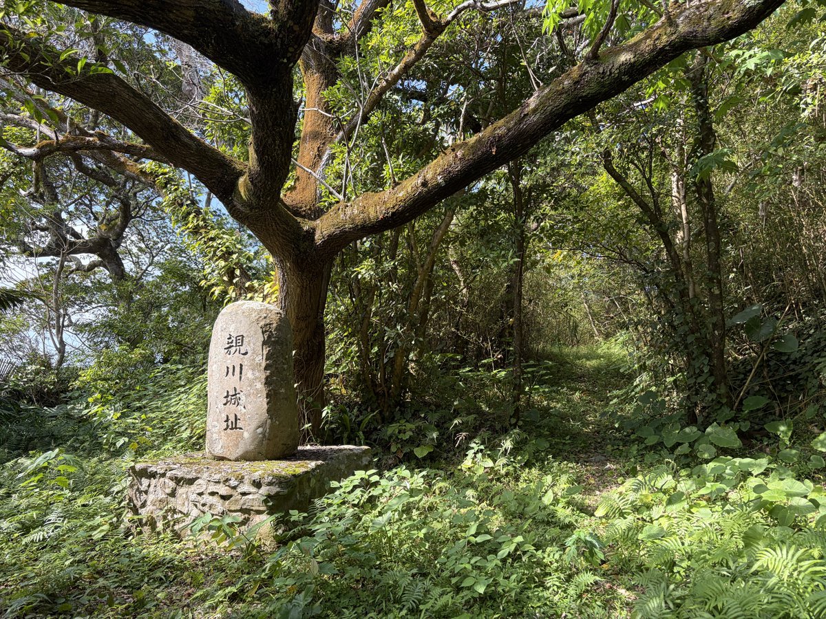 駒井俊雄 tweet media