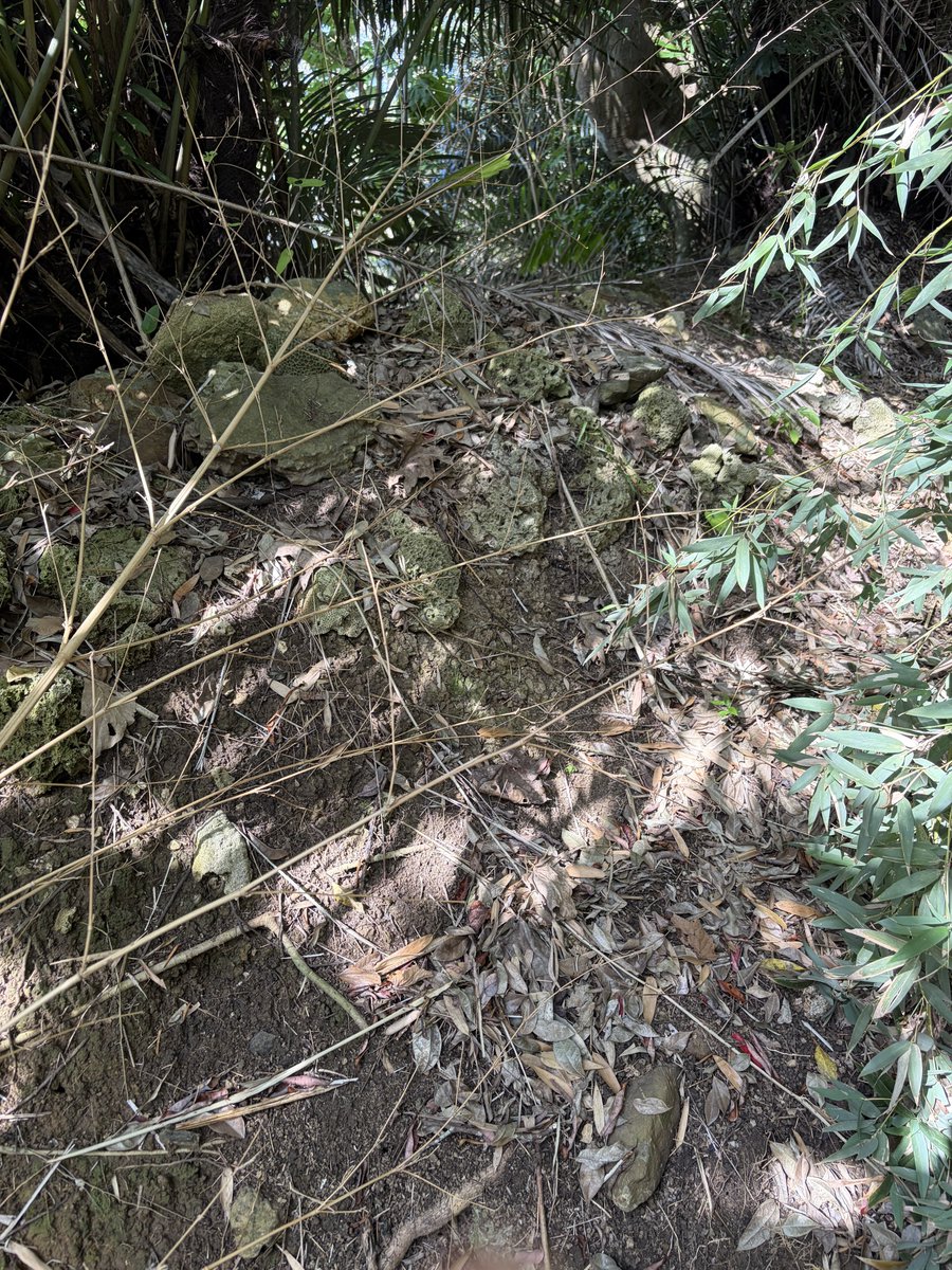 駒井俊雄 tweet media