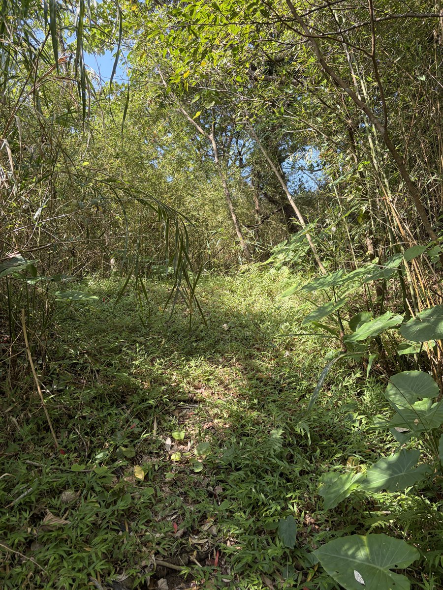 駒井俊雄 tweet media