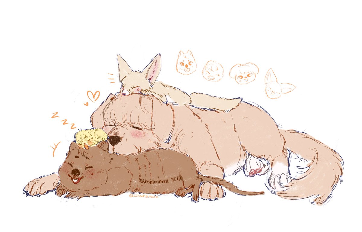 🦊 maknae
🐶 line
🐥 cuddle
🐿️ pile