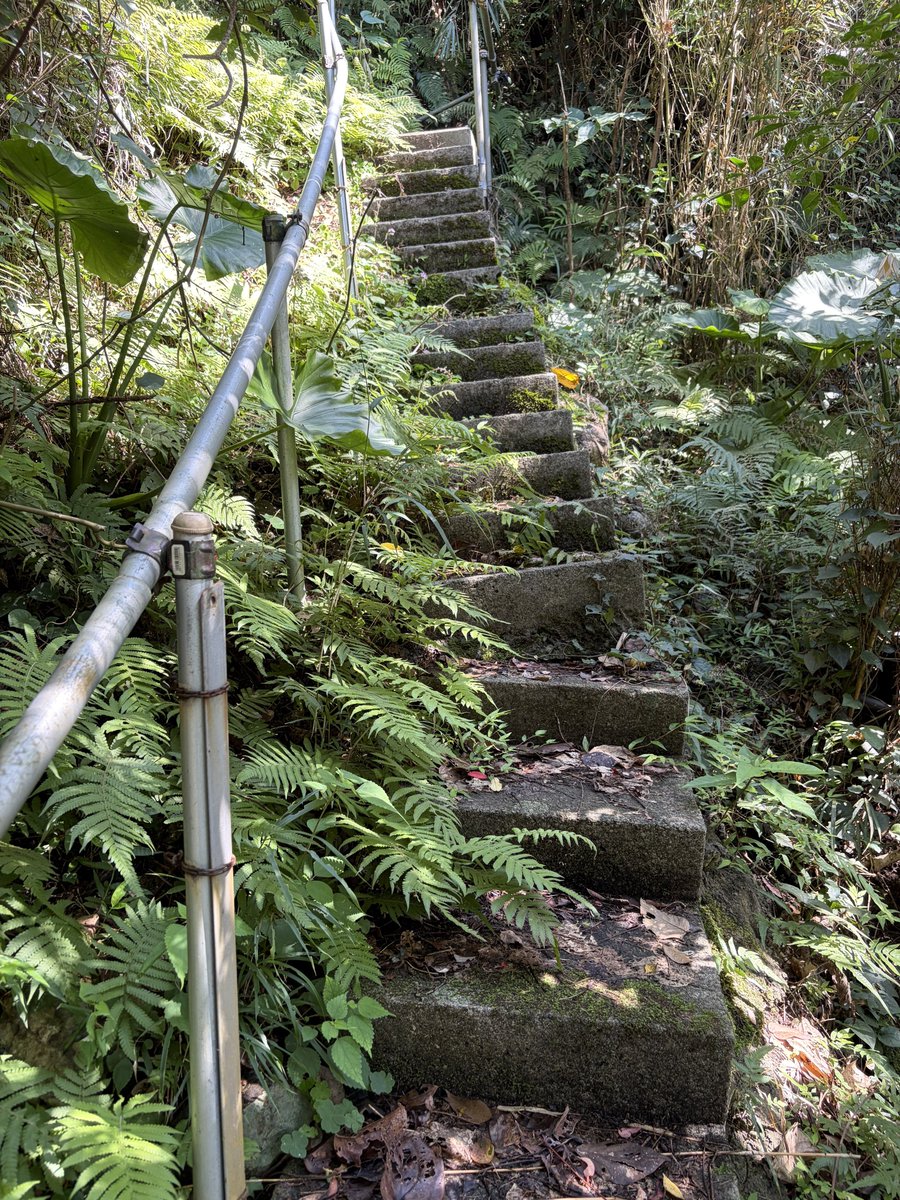 駒井俊雄 tweet media