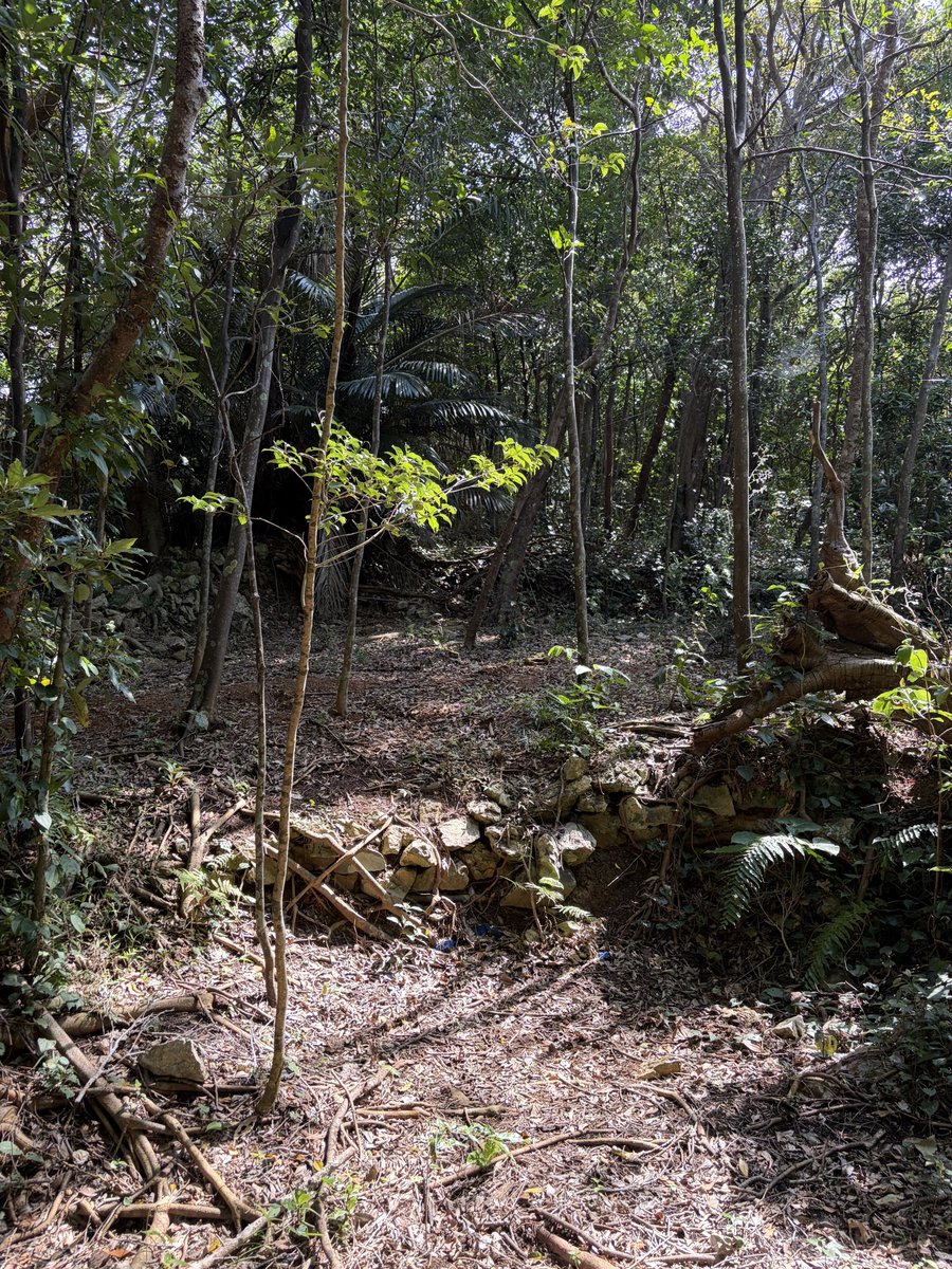 駒井俊雄 tweet media