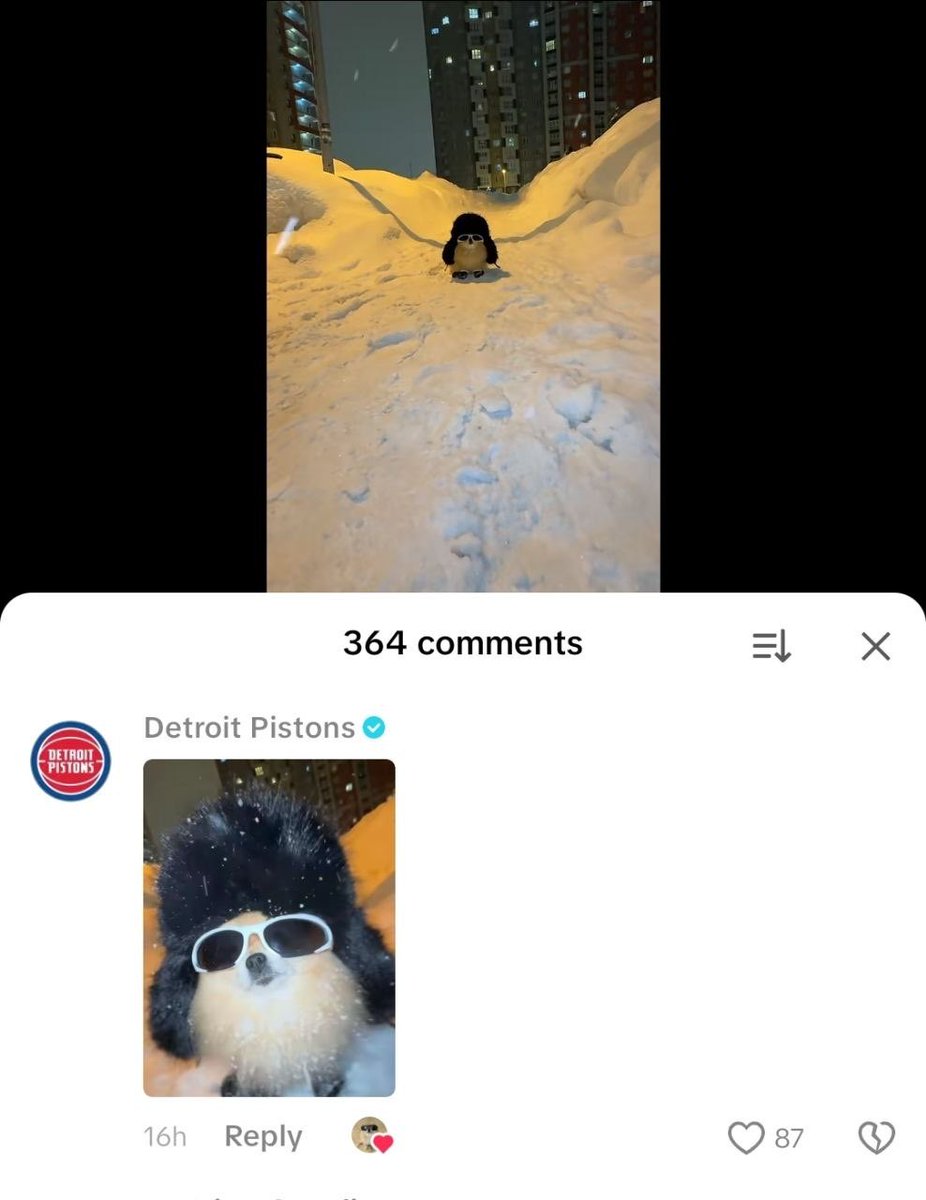 pomkori's tweet photo. ❤️ 

@DetroitPistons https://t.co/gmu9jPMEp6