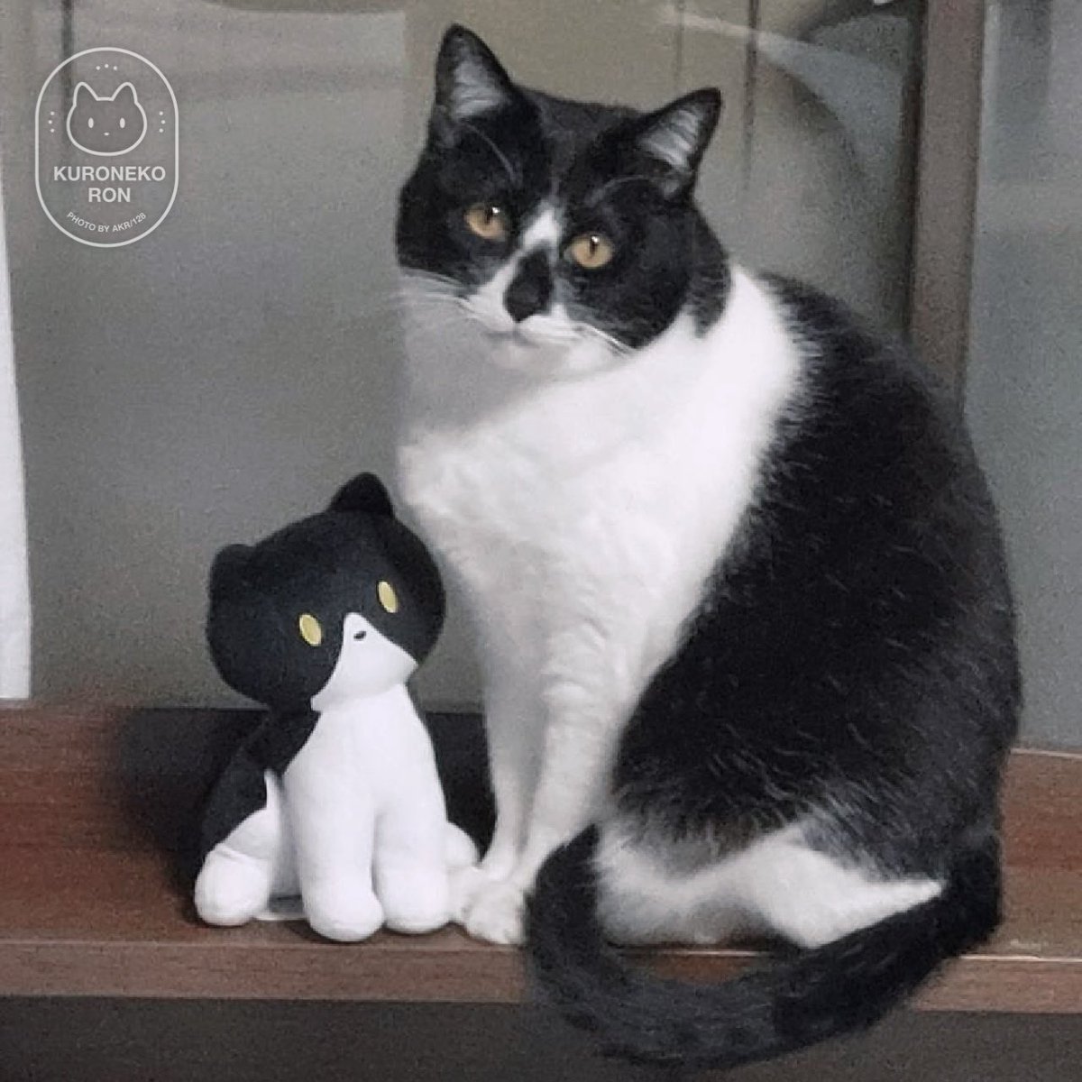 AKR (@bou128) / Posts / X