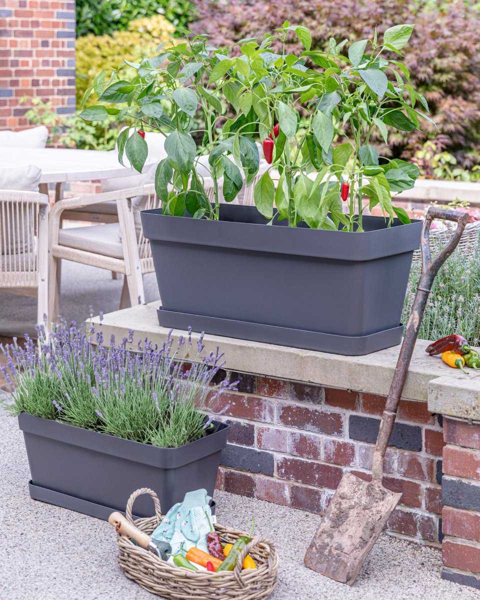 Kitchen gardens are the perfect mix of style and practicality - ideal for herbs, small plants, and everyday greenery. 

Fresh ideas for everyday living: eu1.hubs.ly/H0rkQzg0

#Ivyline #KitchenGarden #GrowYourOwn #IndoorGardening #HomeStyle