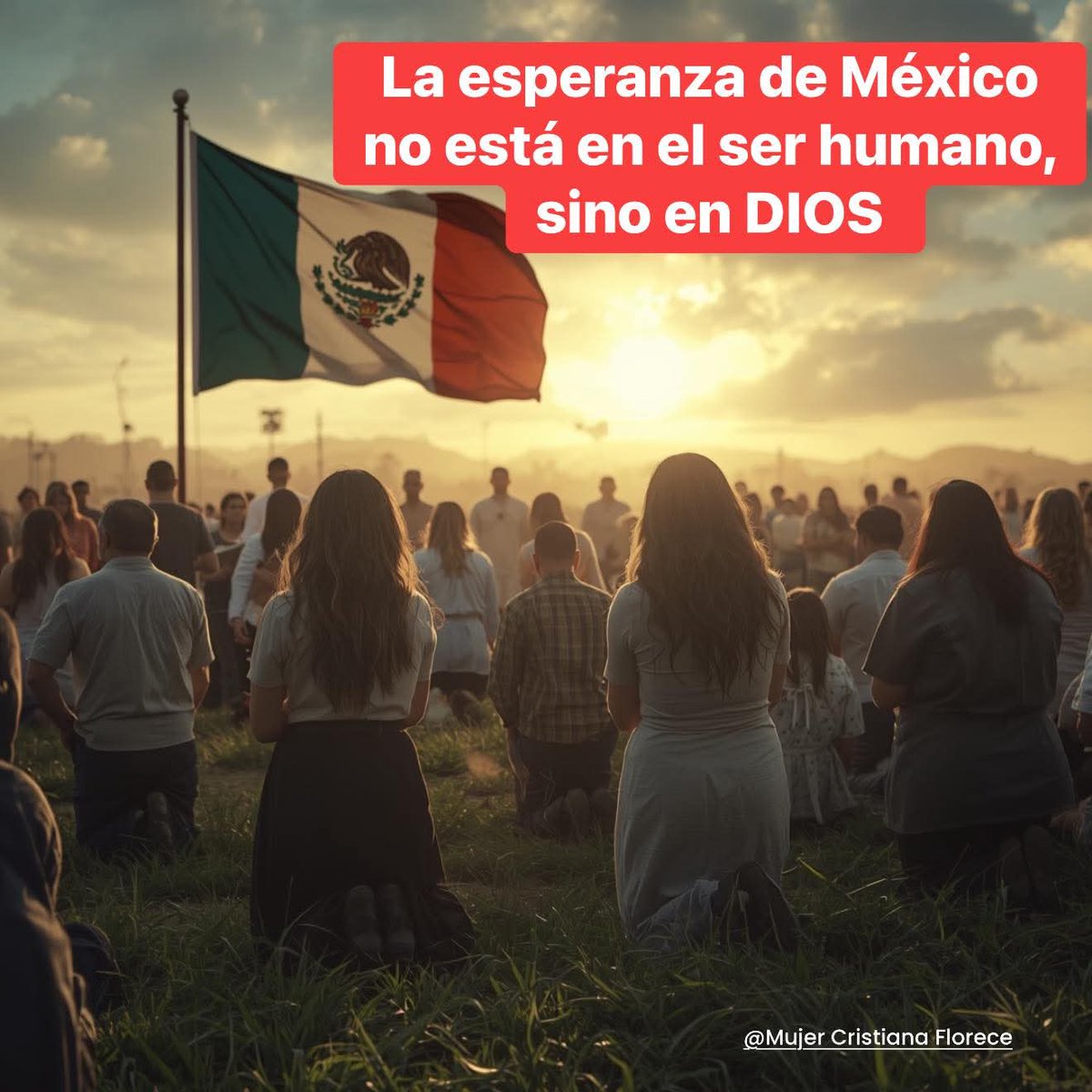 TOVARALEJANDR00's tweet photo. @azucenau Lo que no hace el gobierno federal, lo hace el fútbol https://t.co/v6aXbWChtU
