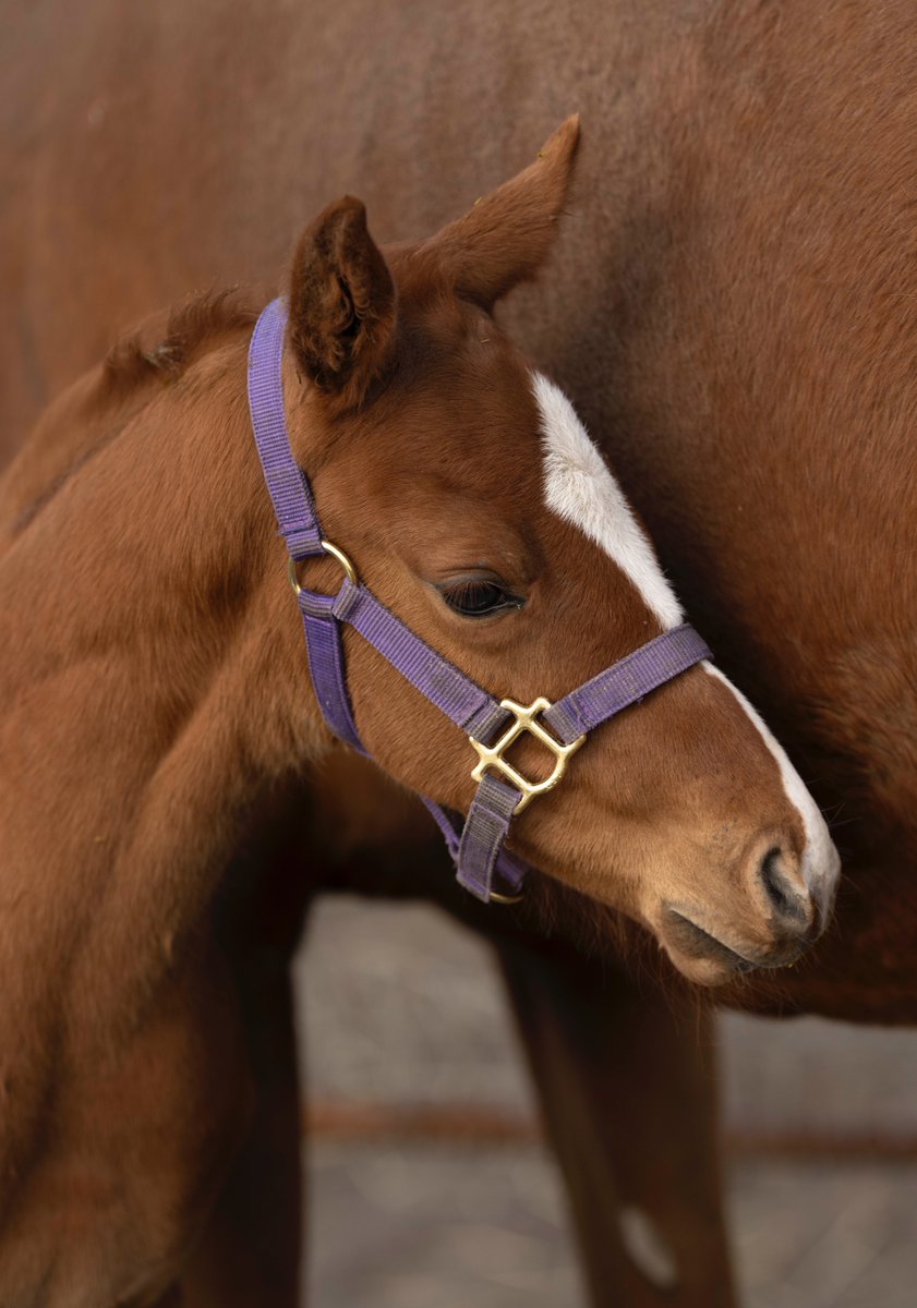 あまりにもかわいすぎて胸が苦しい…天使すぎる…😭💓