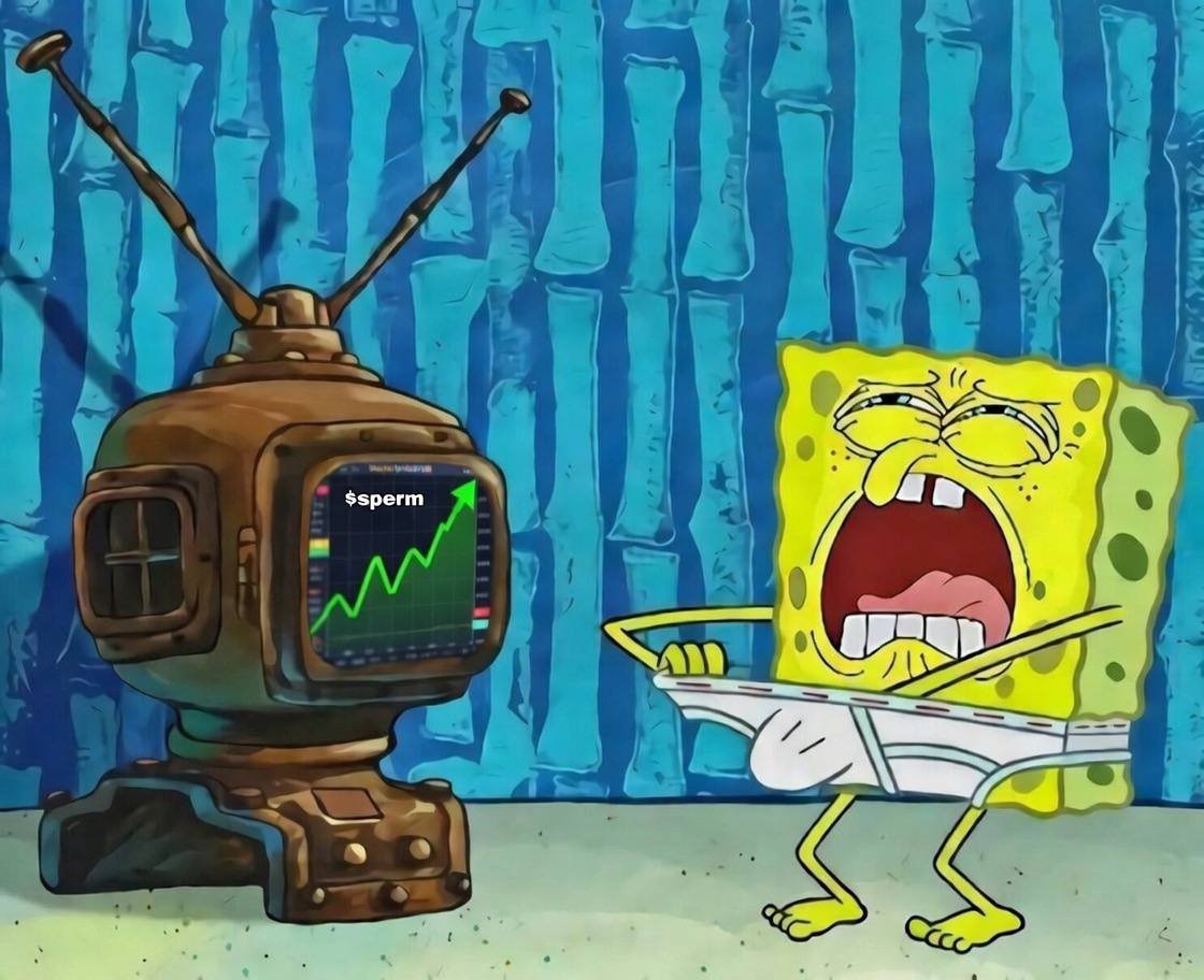 nogue 🧙🏼‍♂️ tweet media