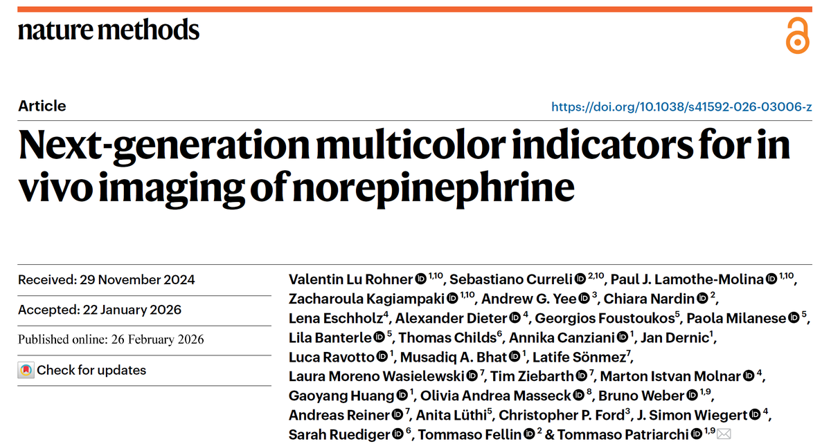 sebastiano curreli tweet media