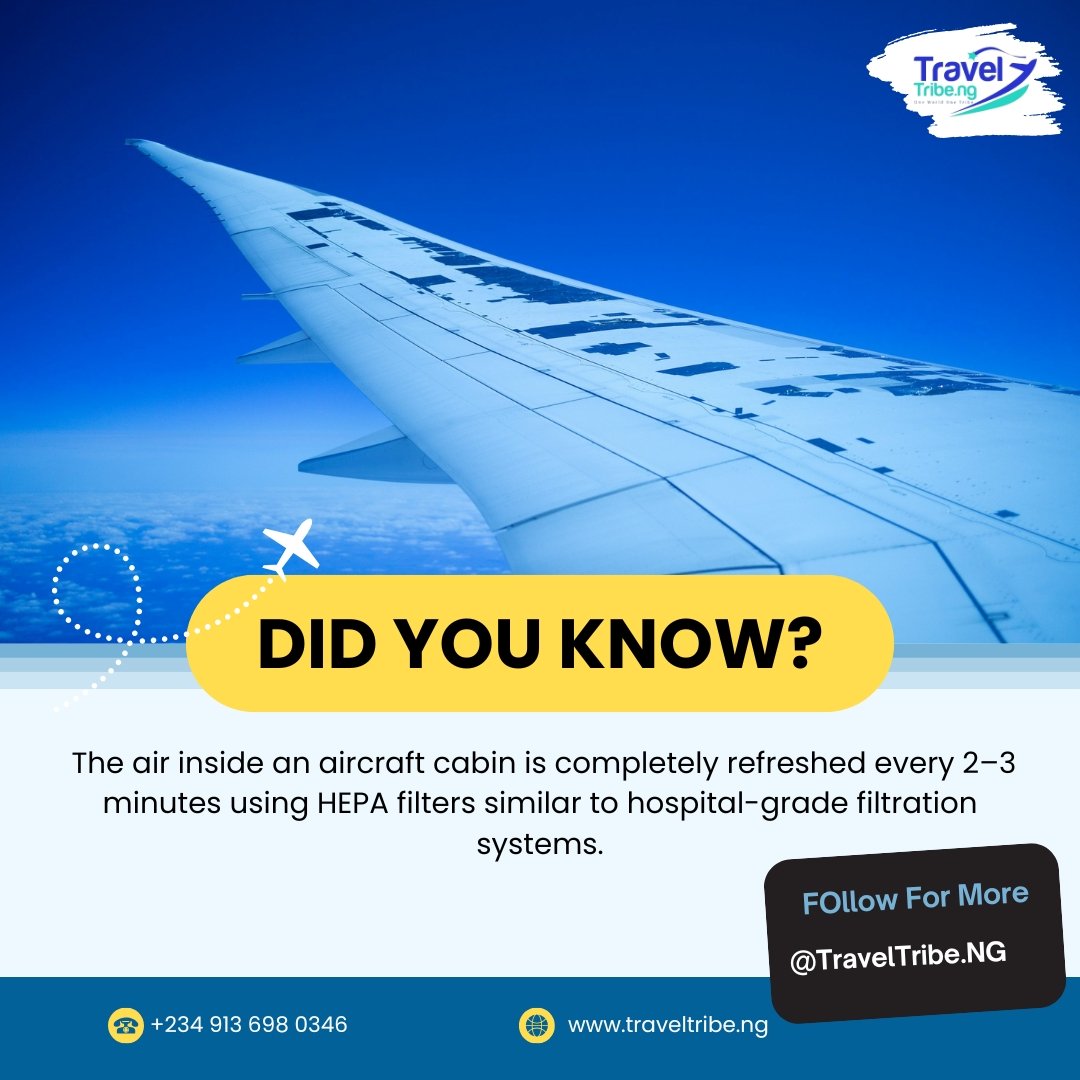 TravelTribe.NG tweet media