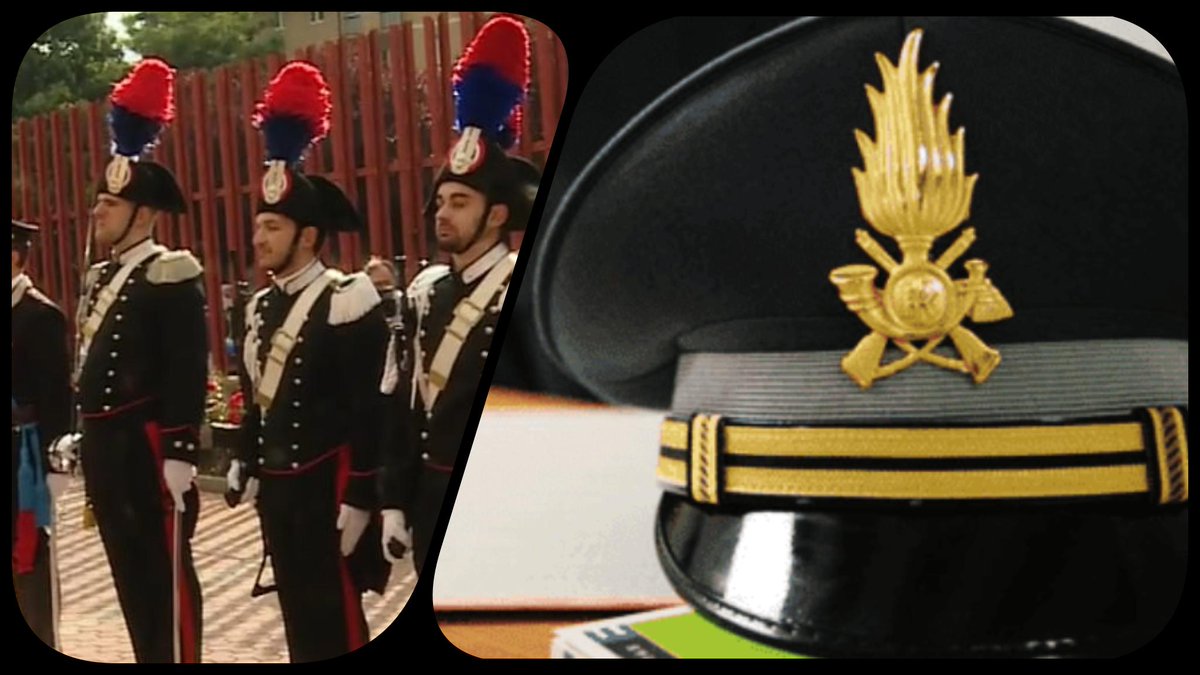 bobinetv tweet media