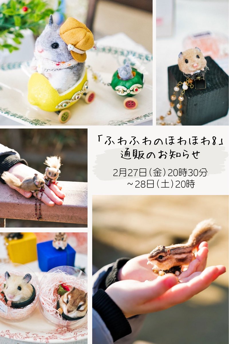 Poccolly 天野川絲乙/アマノガワイト tweet media