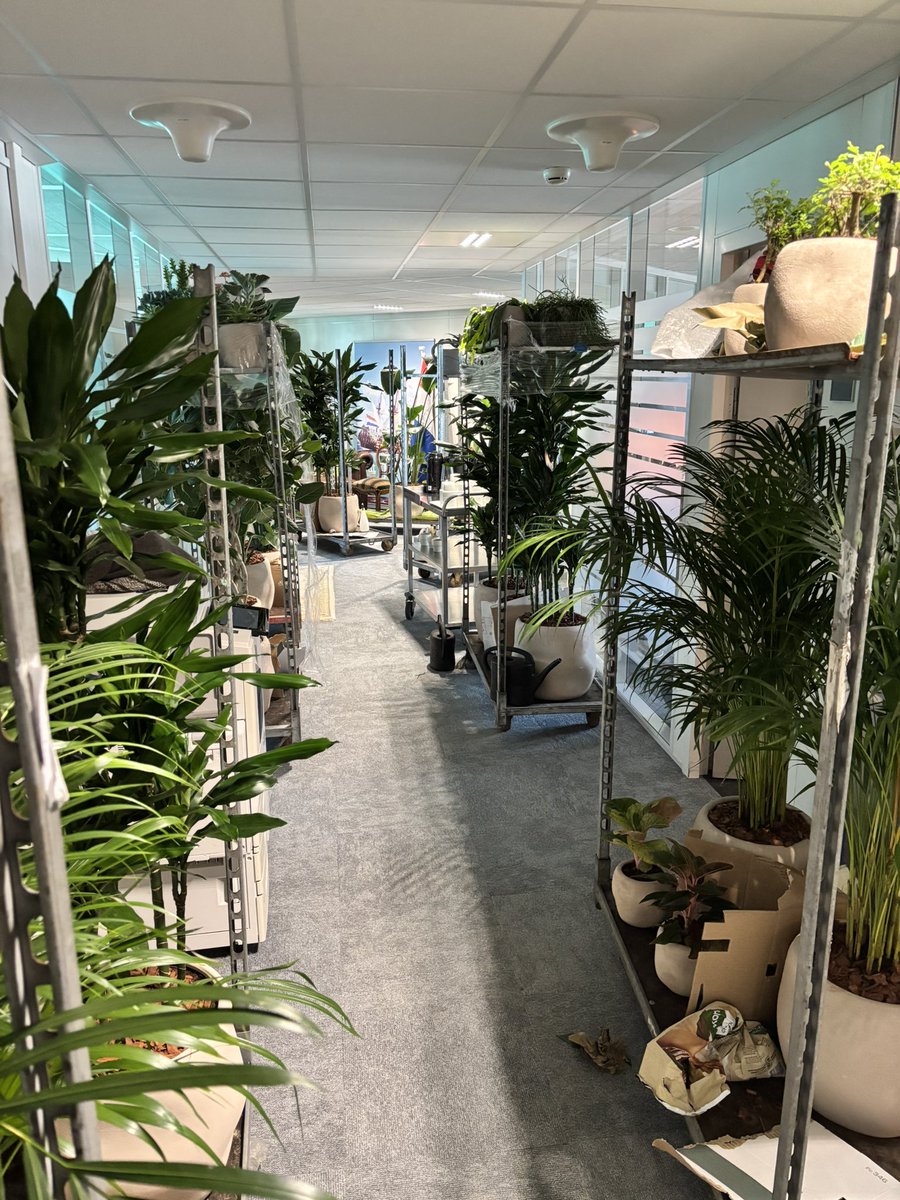 Pepijn van Houwelingen tweet media