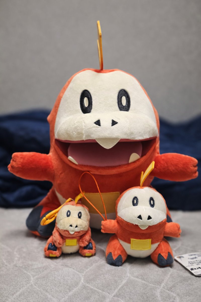 あ、まじでそれだわ笑
推しの影響でホゲータ好きになった笑