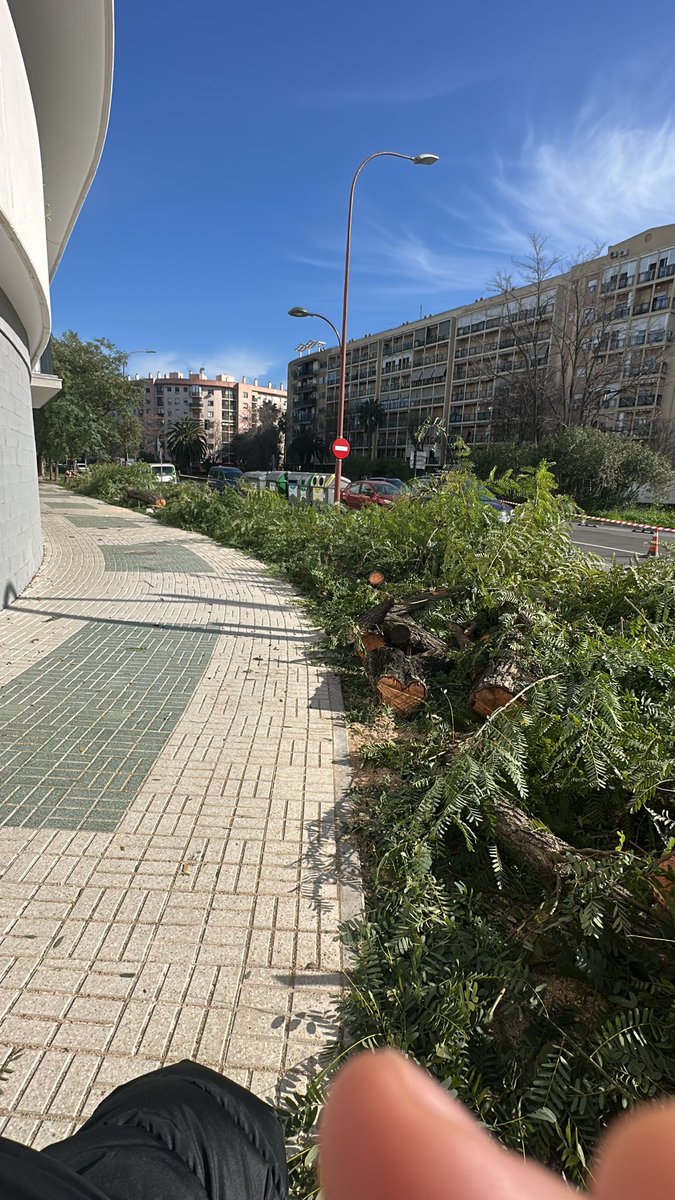 Vituu8's tweet photo. @DtoEsteAlcTorre @Ayto_Sevilla @jlsanzalcalde Como aquí no? https://t.co/VI1LMDApH4