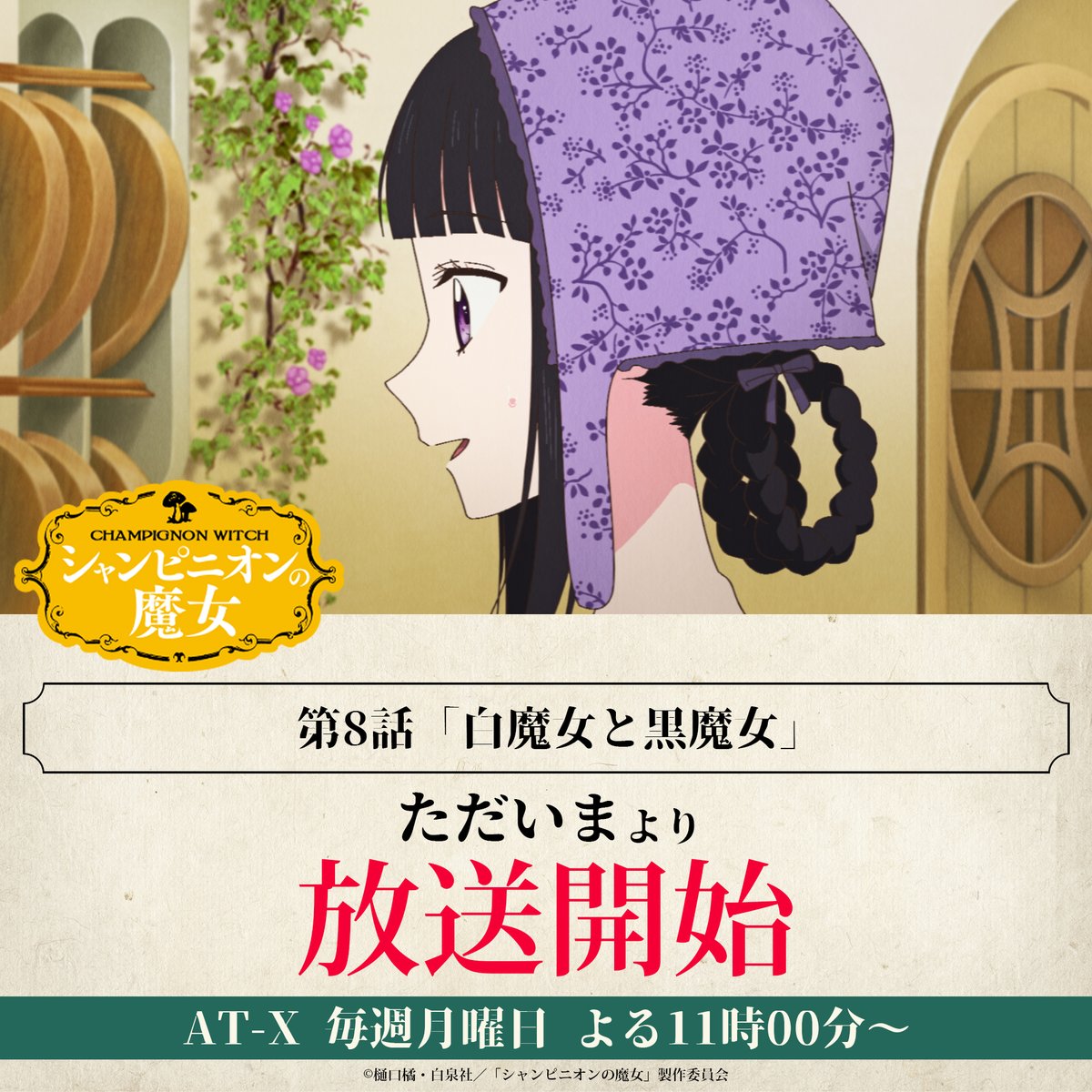 ⊹⁺‧ AT-X 放送開始 ‧⁺ ⊹˚. ただいまよりAT-Xでも放送開始！✨ 🍄第8