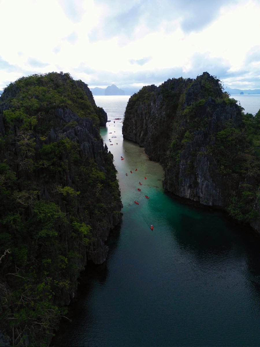 🎯 Master tweet media