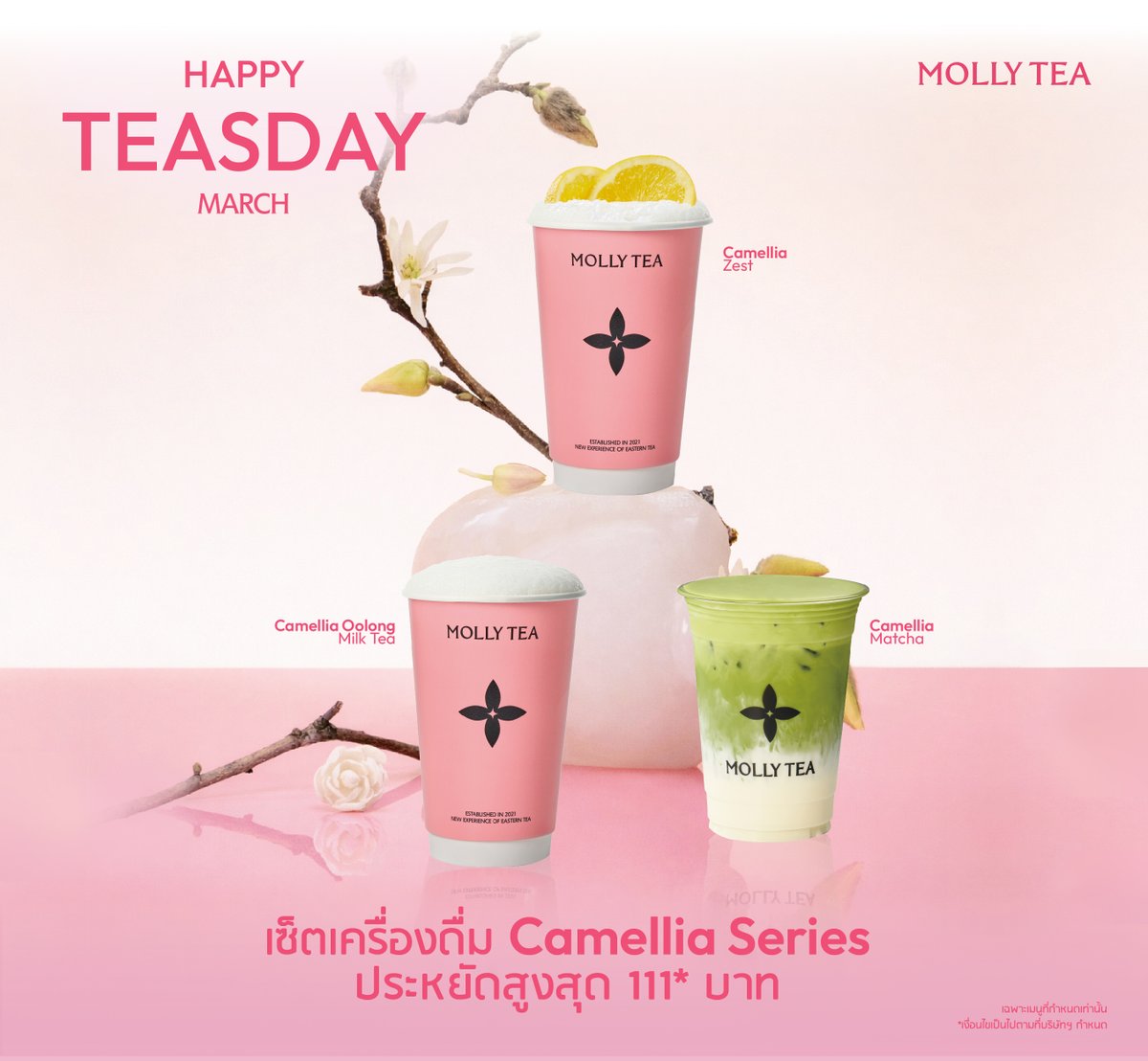 MOLLY TEA THAILAND tweet media