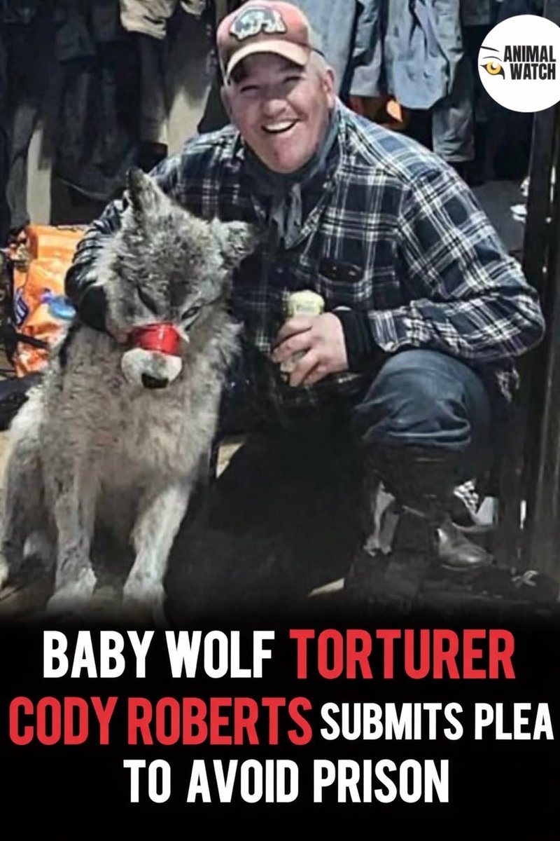 Xpose Trophy Hunting tweet media
