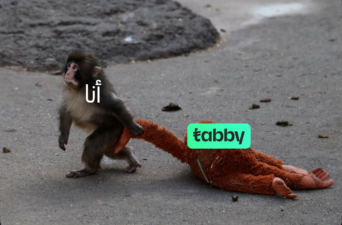 Tabby | تابي tweet media