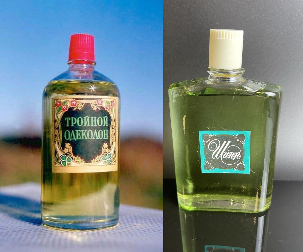 вано шаламов 8.0(მესხი) tweet media