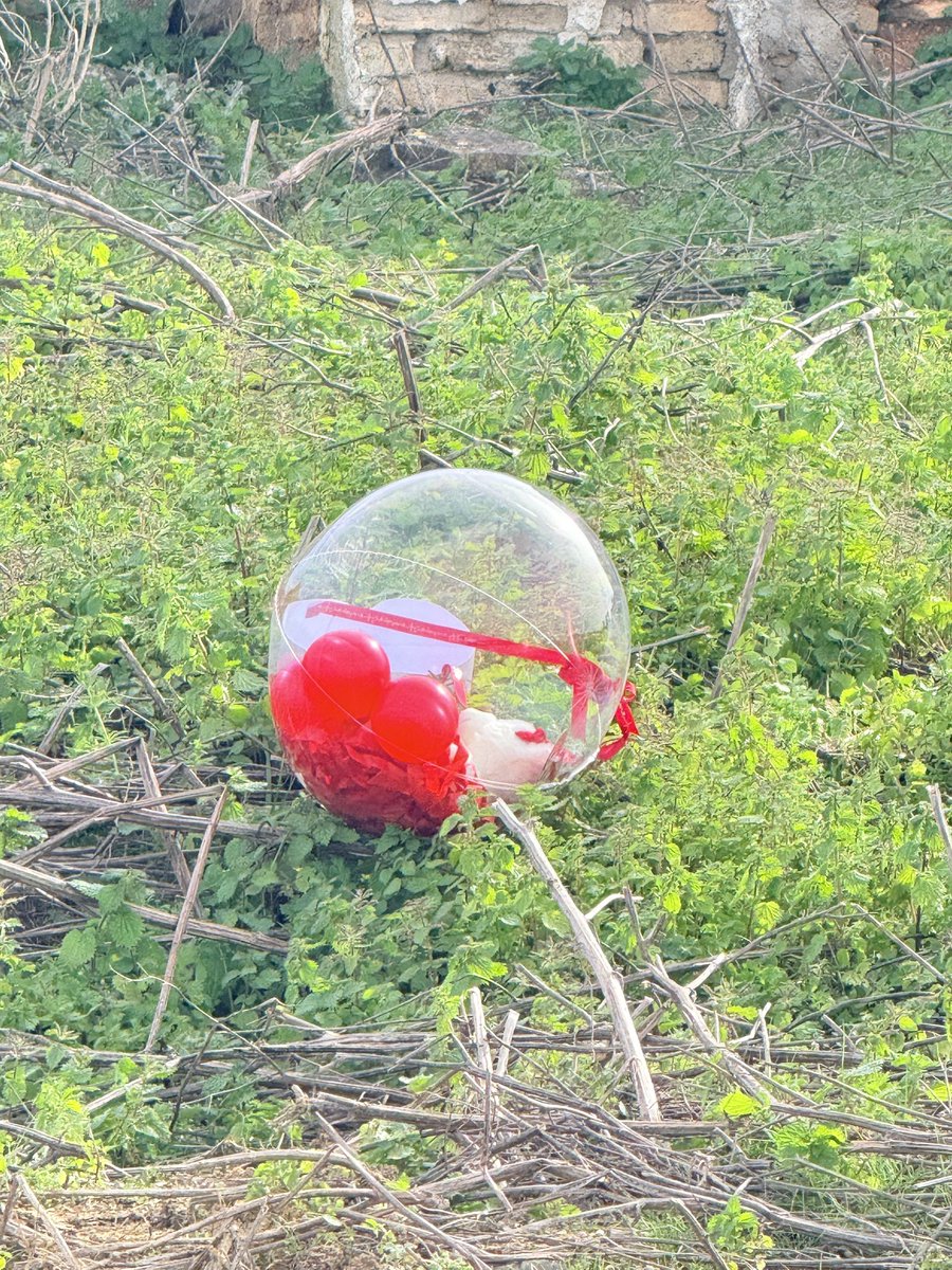 Creo que no era la idea del día de los enamorados que ella tenía pensado