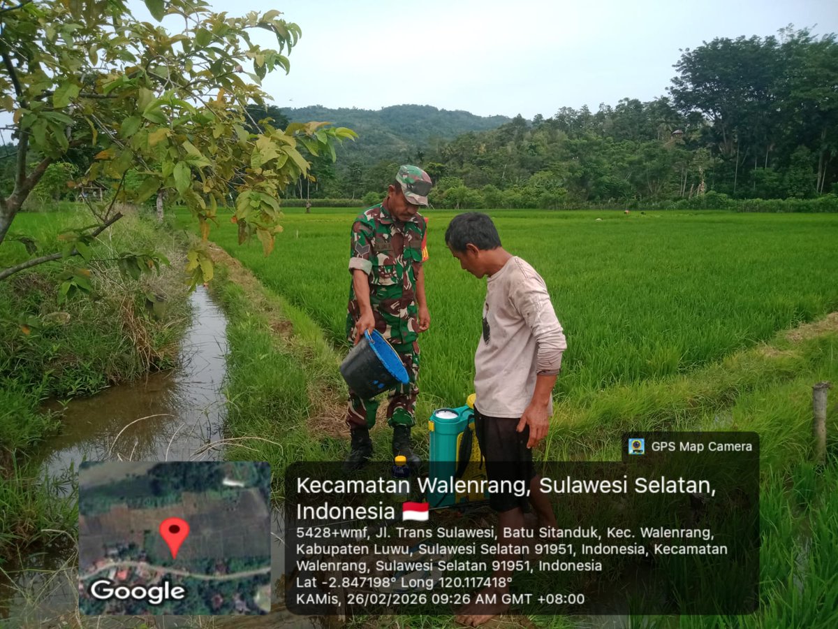 koramilwlg7's tweet image. Walenrang : Kamis (26/02/2026) Babinsa Koramil 07/Walenrang Kodim 1403/Palopo (Serka Abd. Jalil), melaksanakan kegiatan pendampingan Kelompok Tani Tunas Pasang pada penyemprotan hama padi tepatnya di Dusun Pasang, Desa Batusitanduk, Kec. Walenrang, Kab. Luwu.
#fyp
#kodim
#babinsa