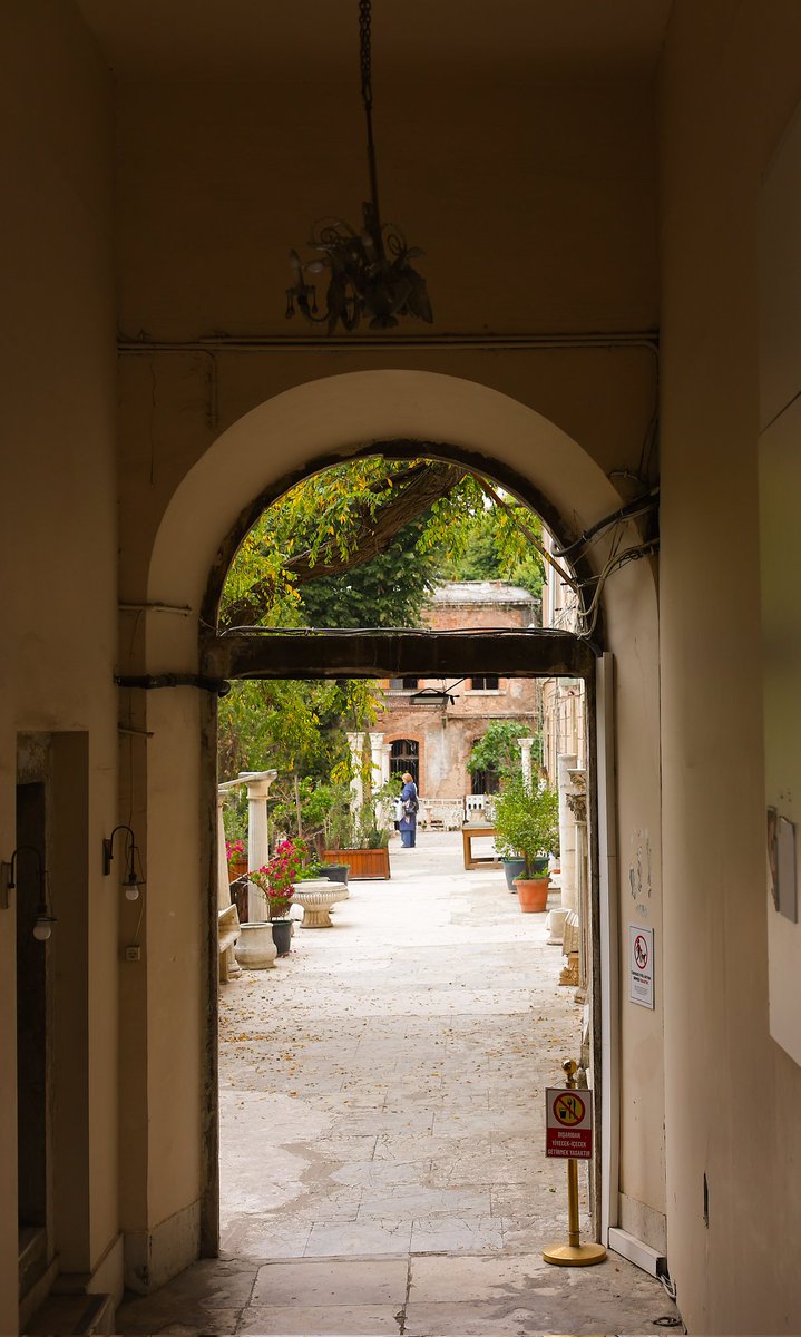 SAJI FALL tweet media