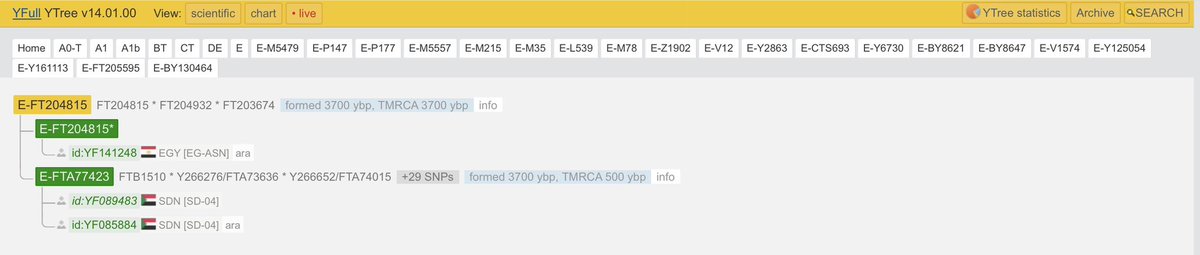 🇪🇬 عينة Y-DNA مصرية – E-FT204815 (V12)

تقدير السلف المشترك (TMRCA):
• حوالي 3700 سنة قبل الحاضر (~1700 قبل الميلاد) حسب YFull
• حوالي 500 قبل الميلاد حسب FTDNA Discover

🧬 تفاصيل العينة

رقم العينة: 476125
الاسم: عز بسط
نوع الفحص: Big Y-700
الدولة: مصر
المنطقة: أسوان / النوبة