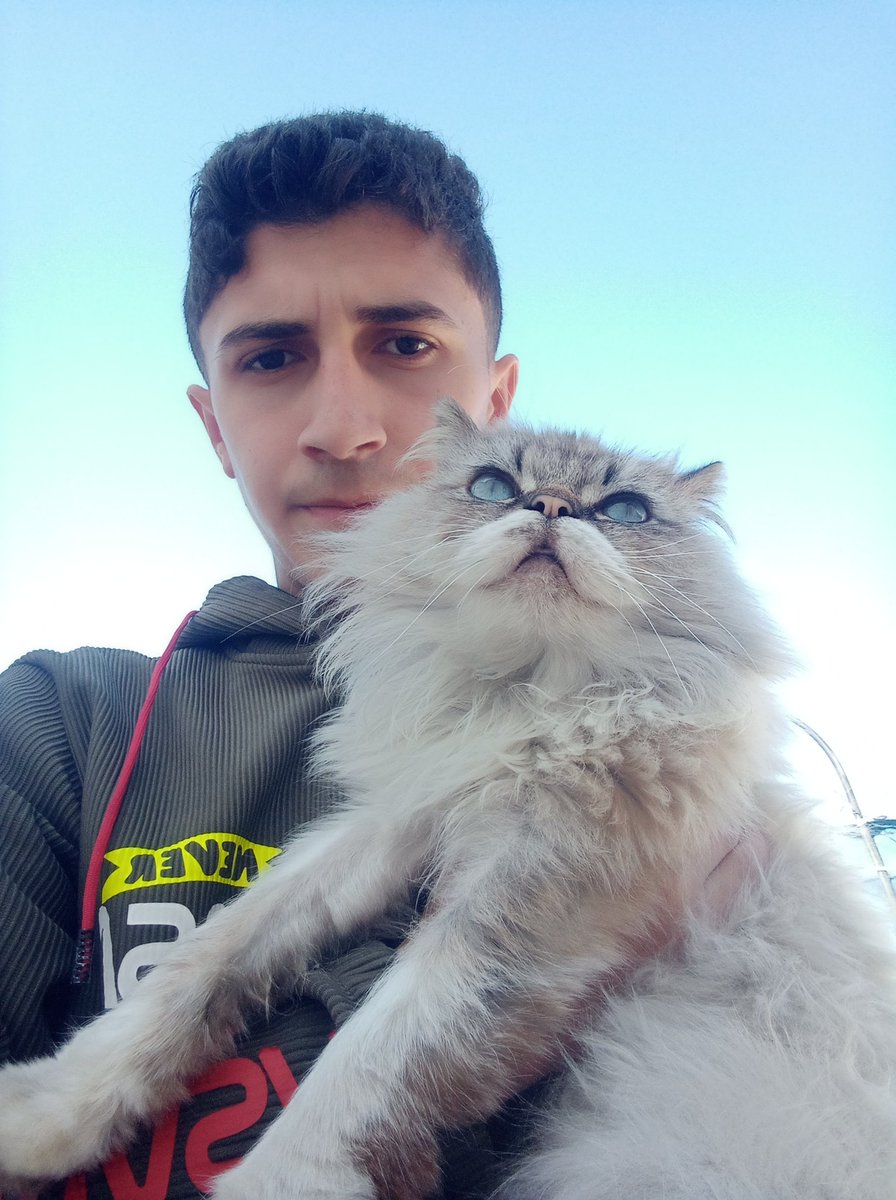 Ali From Gaza tweet media