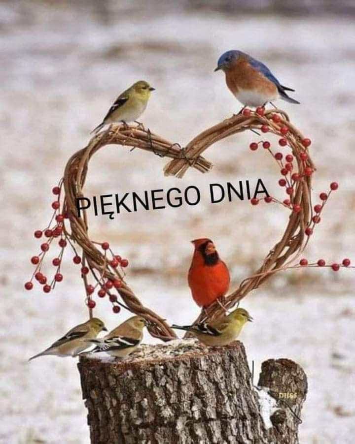 Dzień dobry 😀Wspaniałego czwarteczku wszystkim życzę 😀🌷☕️