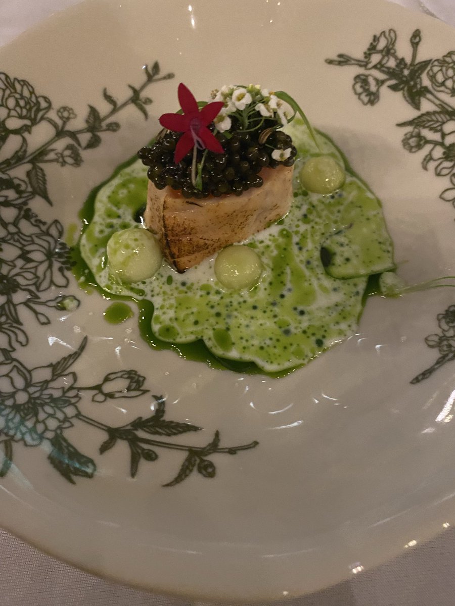 Tuula Yrjola tweet media