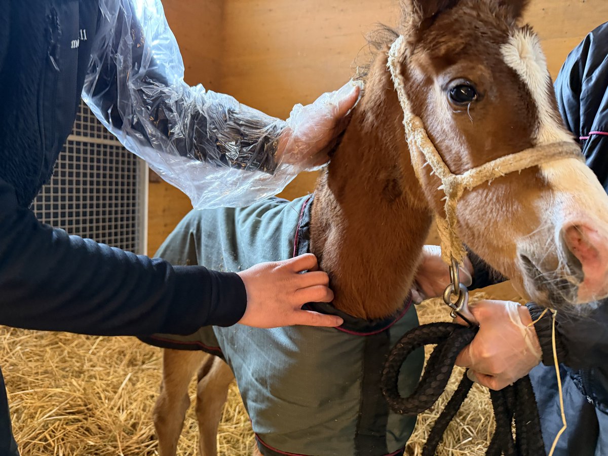 瀬瀬賢 tweet media