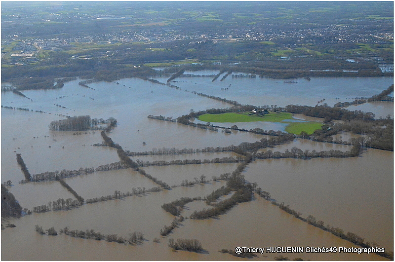 Cliches49's tweet image. L'Île Saint-Aubin a officiellement décidé de devenir une extension d'Atlantis.
Seule la ferme résiste  à l'envahisseur liquide grâce à sa position surélevée. 
#angers #anjou #maineetloire #IleSaintAubin #PaysdelaLoire #jaimeangers #bassesvalleesangevines #crue2026 #inondations