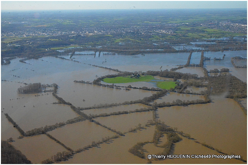 Cliches49's tweet image. L'Île Saint-Aubin a officiellement décidé de devenir une extension d'Atlantis.
Seule la ferme résiste  à l'envahisseur liquide grâce à sa position surélevée. 
#angers #anjou #maineetloire #IleSaintAubin #PaysdelaLoire #jaimeangers #bassesvalleesangevines #crue2026 #inondations
