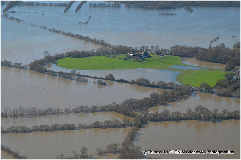 Cliches49's tweet image. L'Île Saint-Aubin a officiellement décidé de devenir une extension d'Atlantis.
Seule la ferme résiste  à l'envahisseur liquide grâce à sa position surélevée. 
#angers #anjou #maineetloire #IleSaintAubin #PaysdelaLoire #jaimeangers #bassesvalleesangevines #crue2026 #inondations