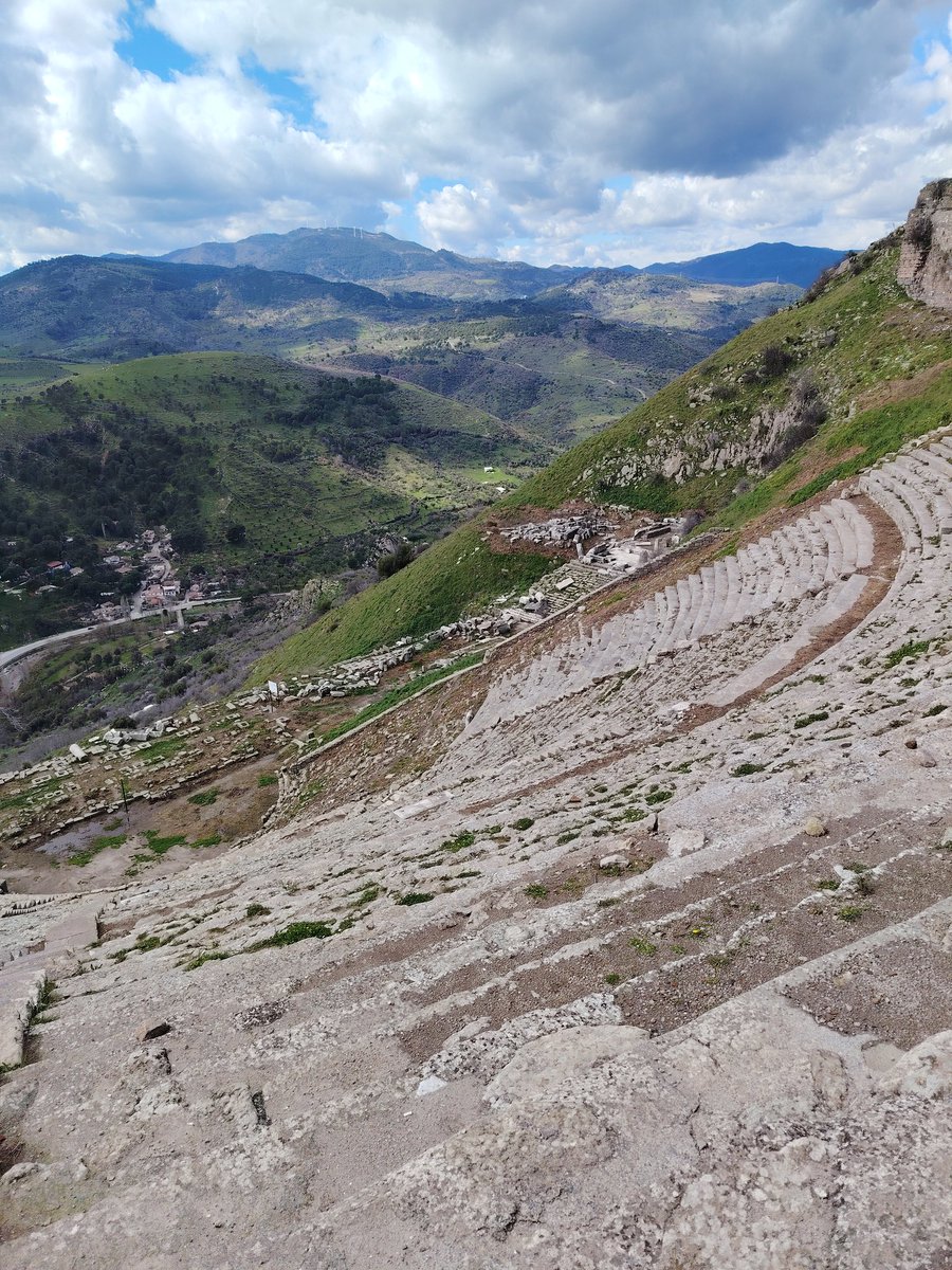 Mammouthesse laineuse tweet media