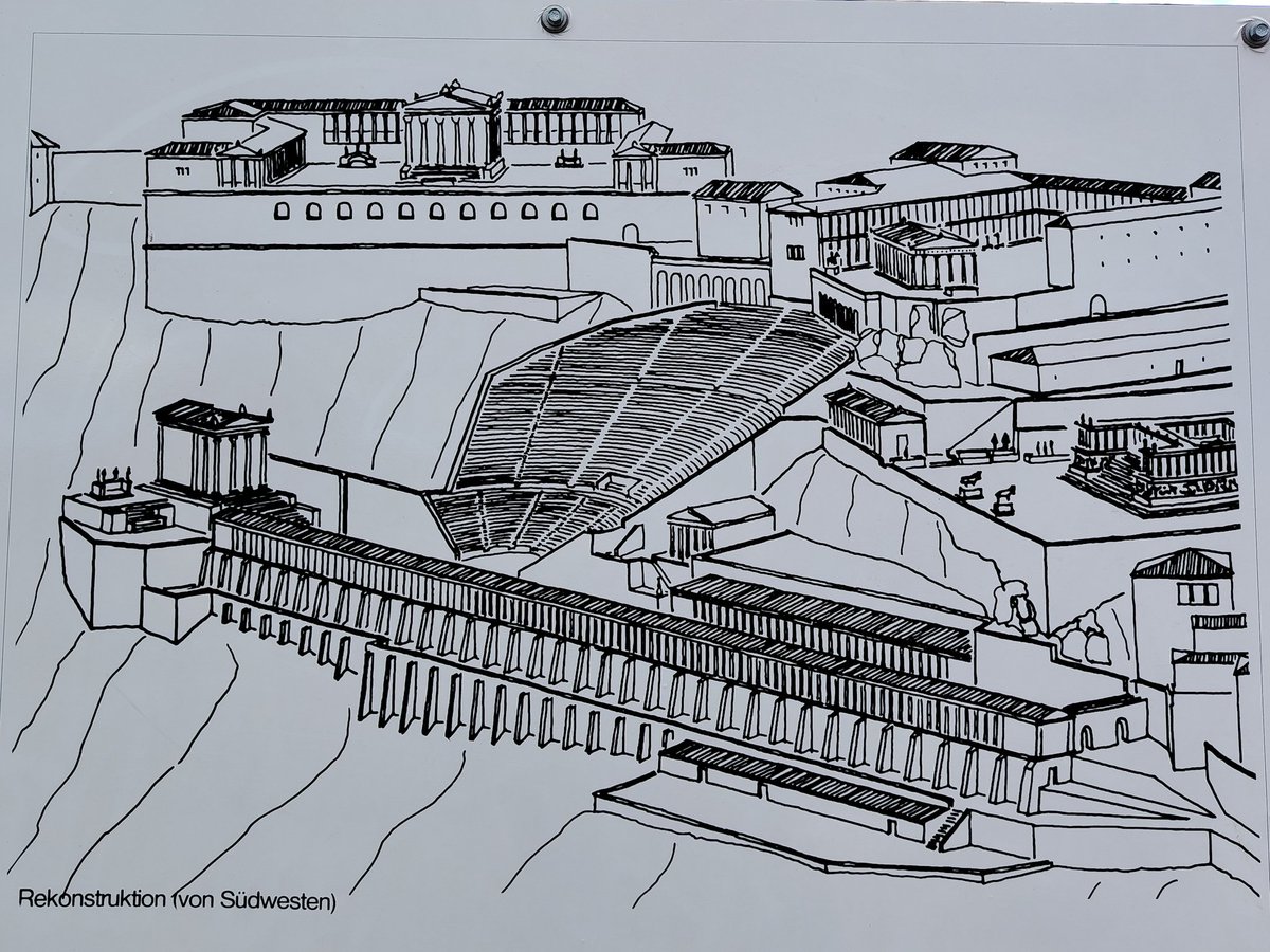 Mammouthesse laineuse tweet media