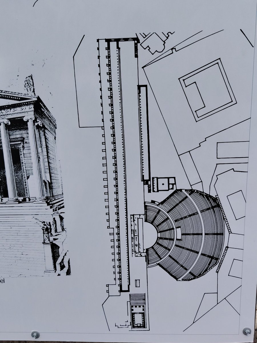 Mammouthesse laineuse tweet media