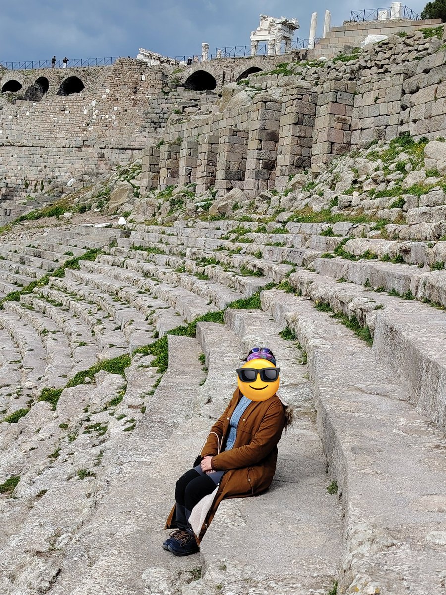 Mammouthesse laineuse tweet media