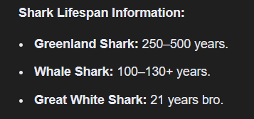 SODASHARK 🇹🇭 tweet media