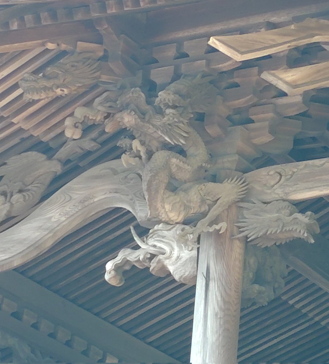 本殿を見上げると、ちょっと聖獣が渋滞してる風に見える？

＃高知県の神社 ＃須崎八幡宮 ＃須崎市 ＃木鼻装飾