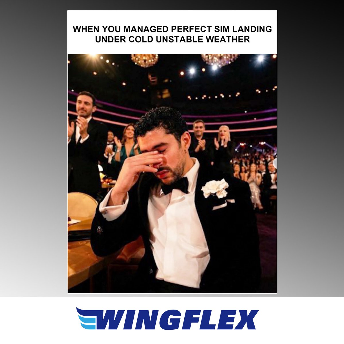 Wingflex Sim tweet media